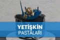 Yetişkin Pastaları